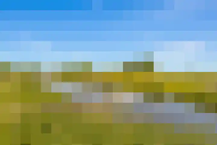 Cantharel 18 Krimpen aan den IJssel thumbnail 32