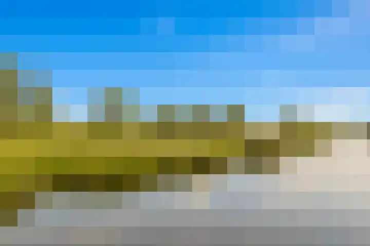 Cantharel 18 Krimpen aan den IJssel thumbnail 33