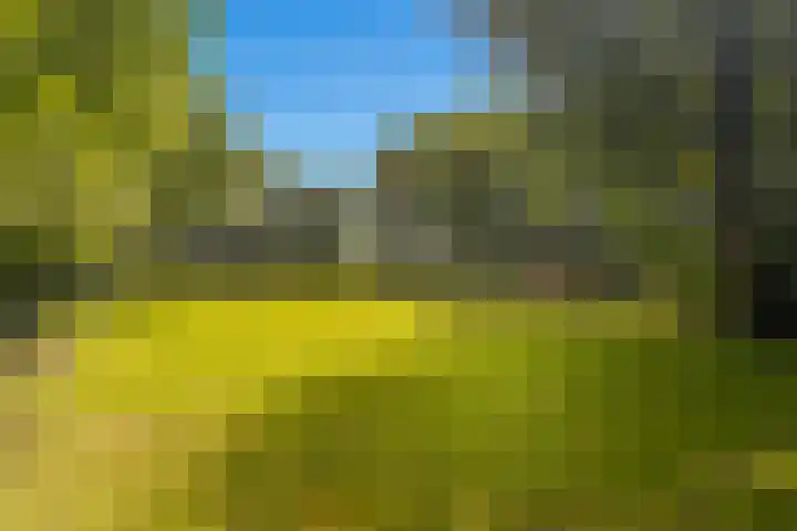 Cantharel 18 Krimpen aan den IJssel thumbnail 34