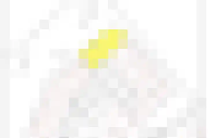 Cantharel 18 Krimpen aan den IJssel thumbnail 38
