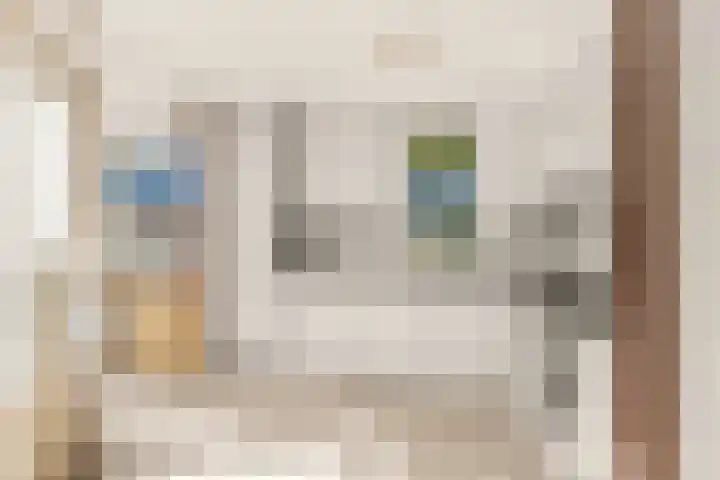 Cantharel 18 Krimpen aan den IJssel thumbnail 4