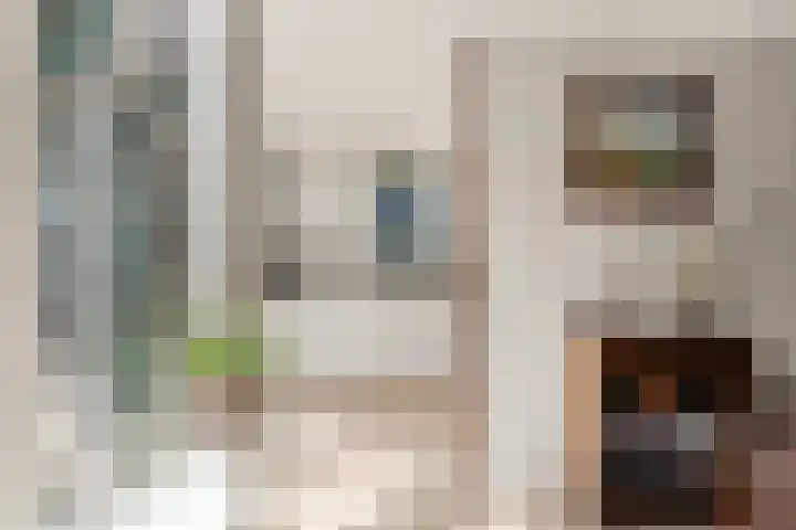 Cantharel 18 Krimpen aan den IJssel thumbnail 5