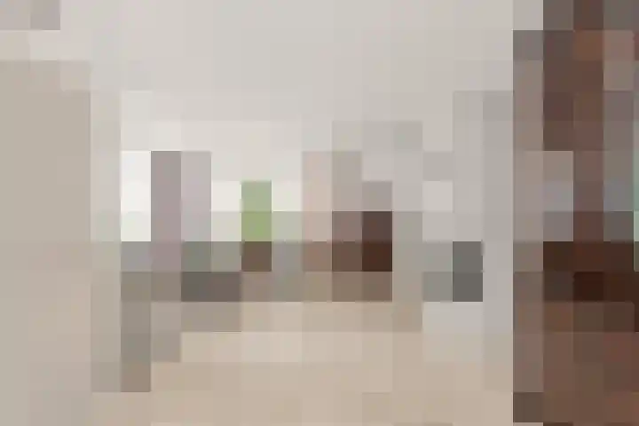 Cantharel 18 Krimpen aan den IJssel thumbnail 7