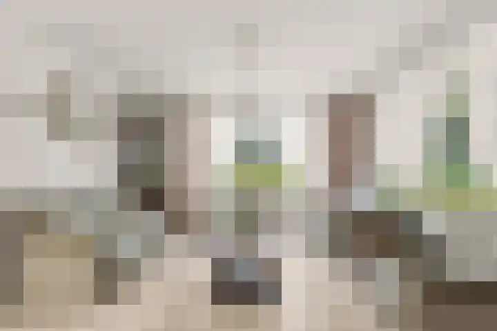 Cantharel 18 Krimpen aan den IJssel thumbnail 8