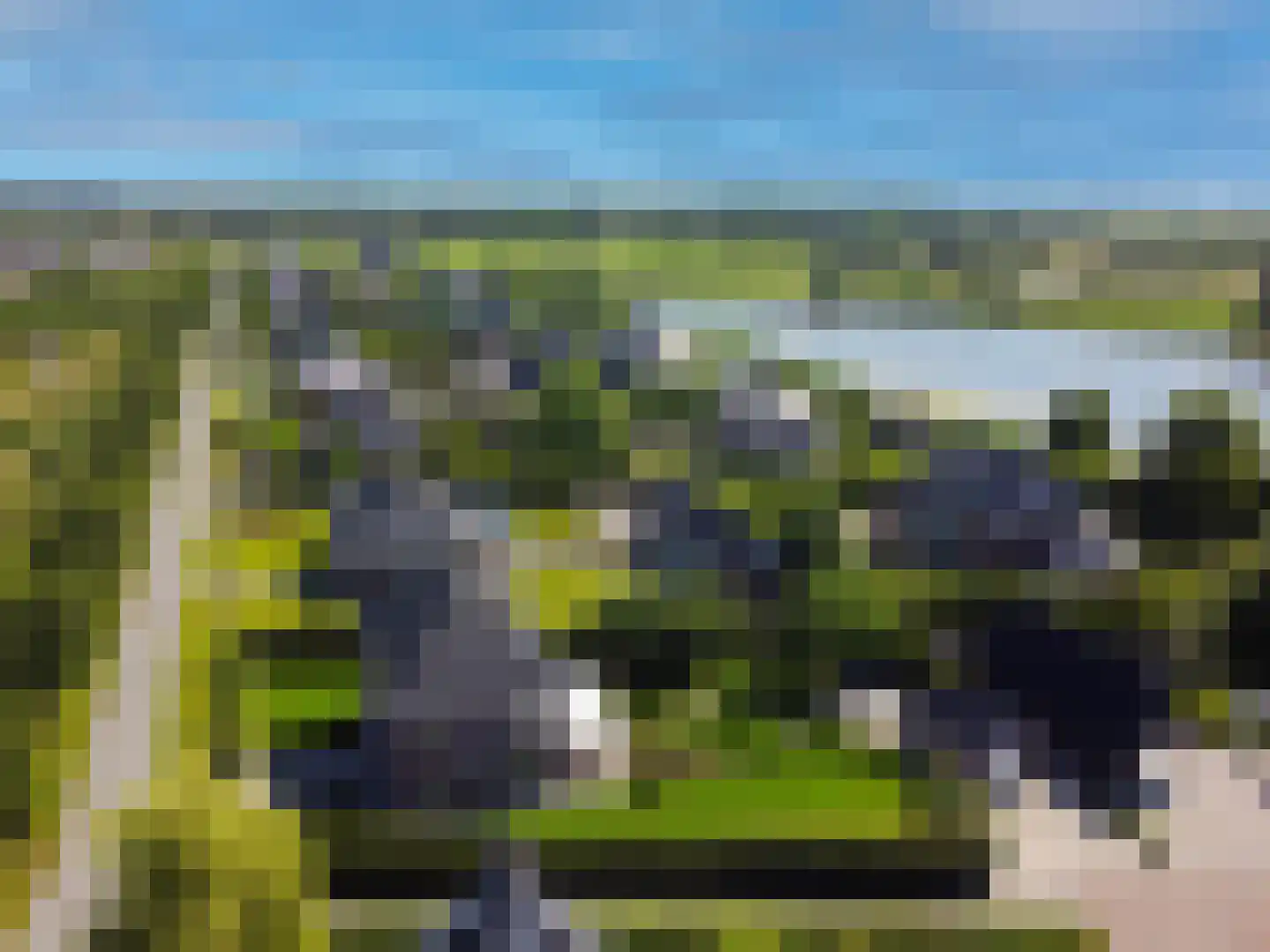 Cantharel 26 Blauwestad thumbnail 10