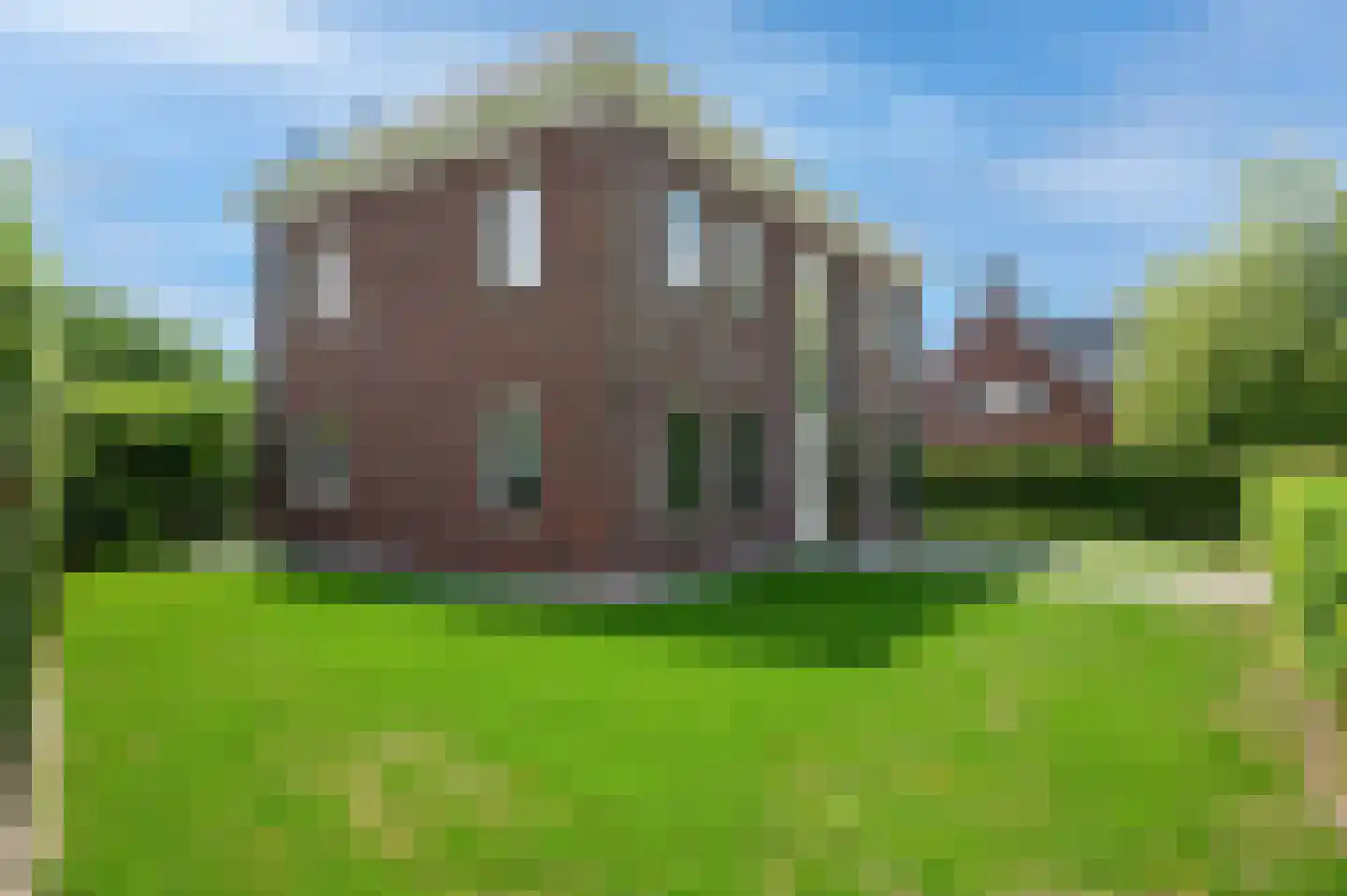 Cantharel 26 Blauwestad thumbnail 12