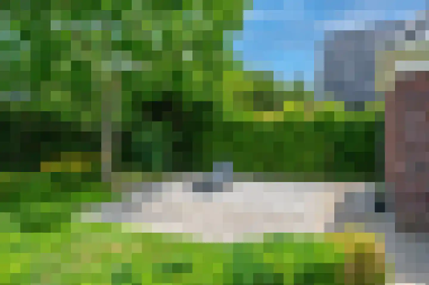 Cantharel 26 Blauwestad thumbnail 60