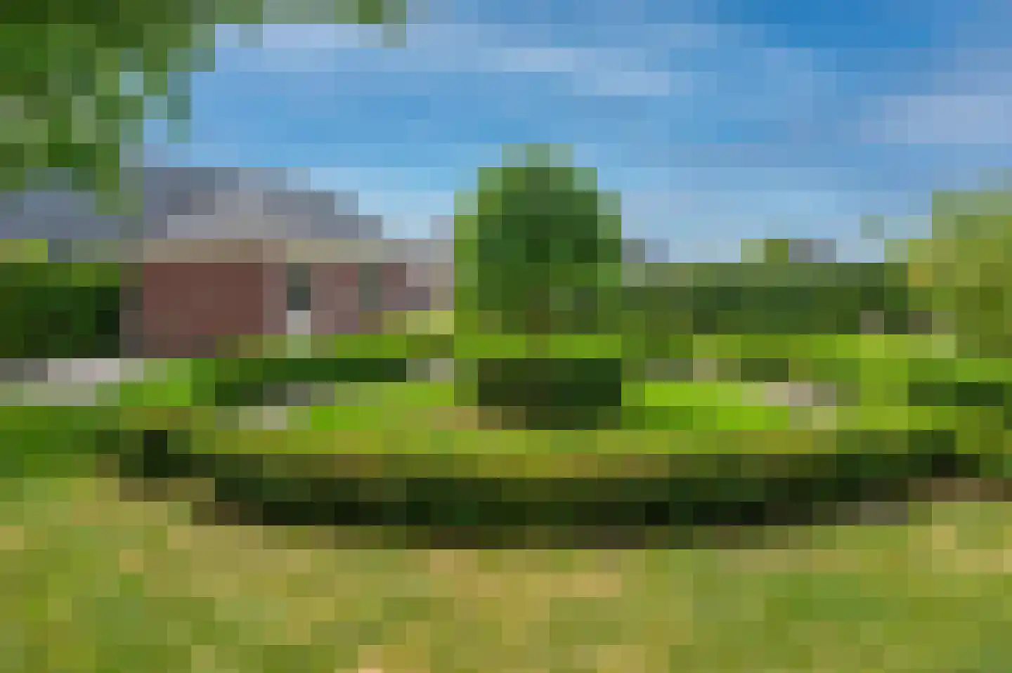 Cantharel 26 Blauwestad thumbnail 61