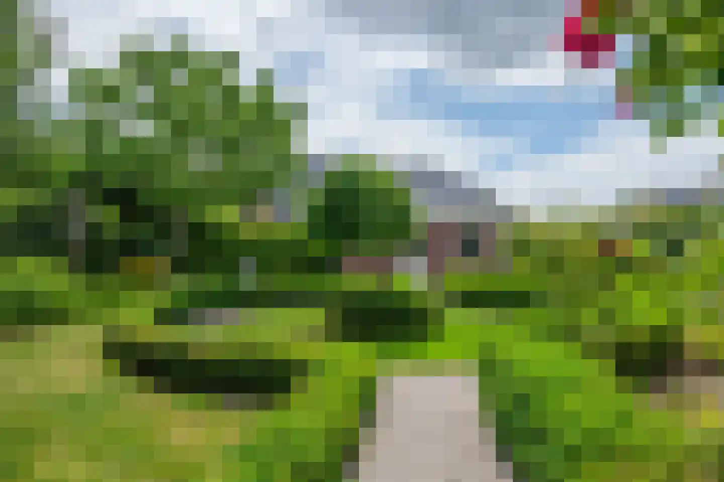 Cantharel 26 Blauwestad thumbnail 62
