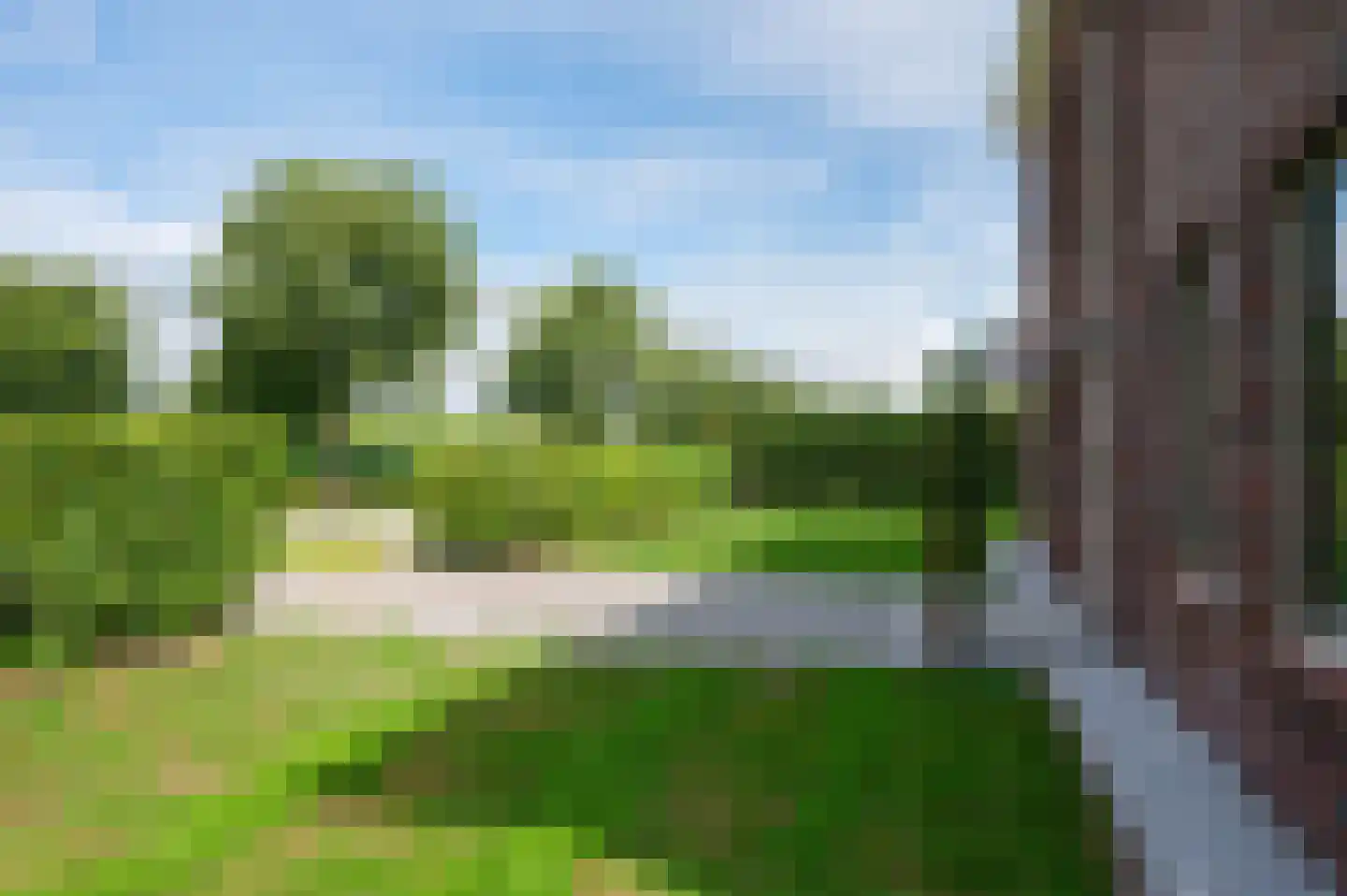 Cantharel 26 Blauwestad thumbnail 64