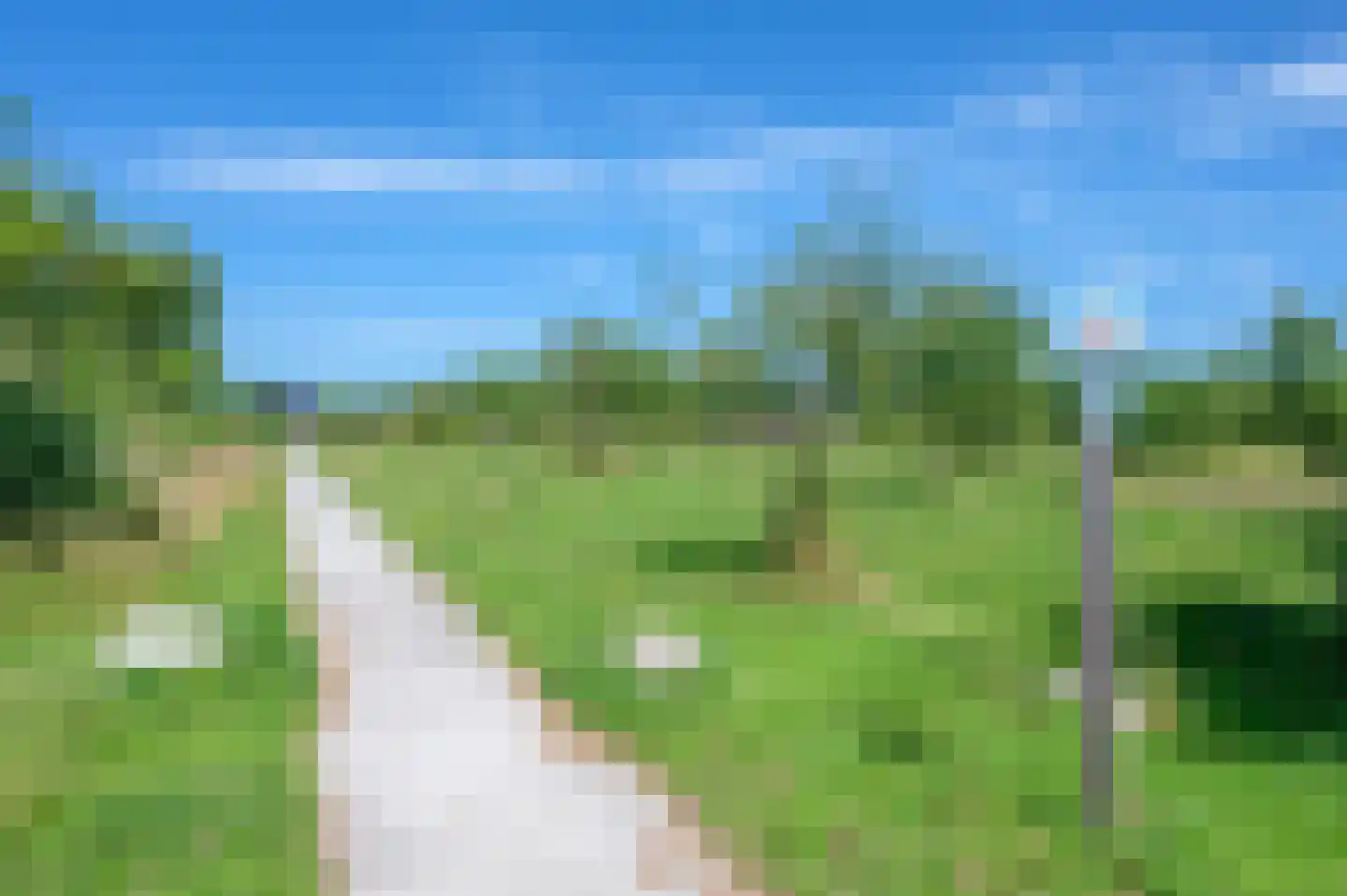 Cantharel 26 Blauwestad thumbnail 66