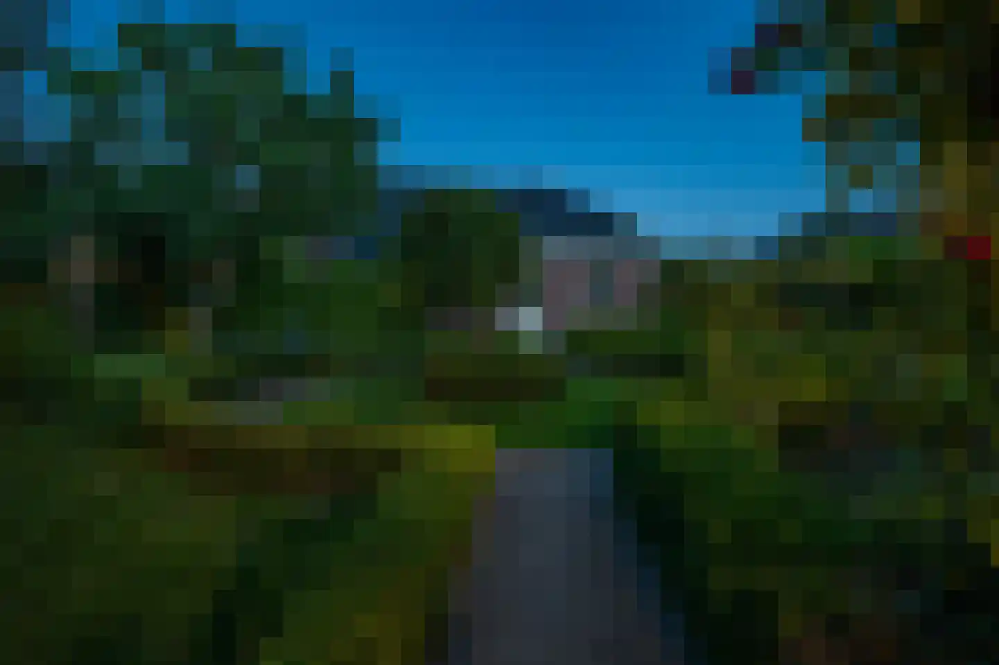 Cantharel 26 Blauwestad thumbnail 71