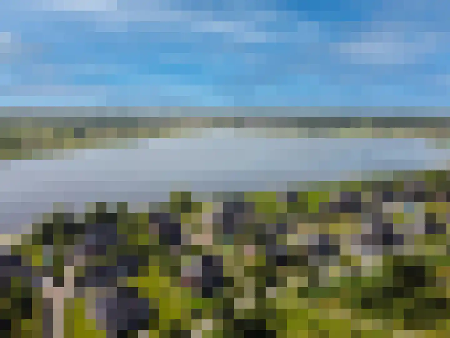 Cantharel 26 Blauwestad thumbnail 74