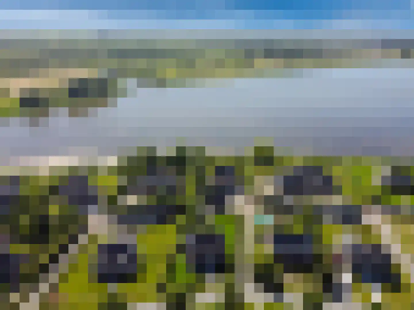 Cantharel 26 Blauwestad thumbnail 75