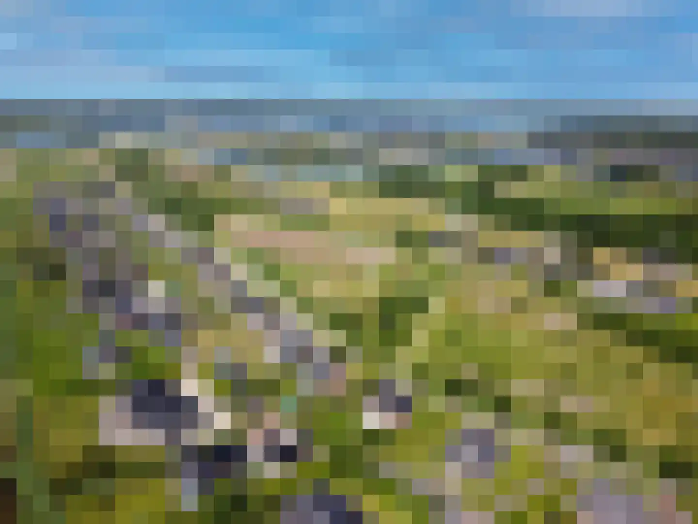 Cantharel 26 Blauwestad thumbnail 76