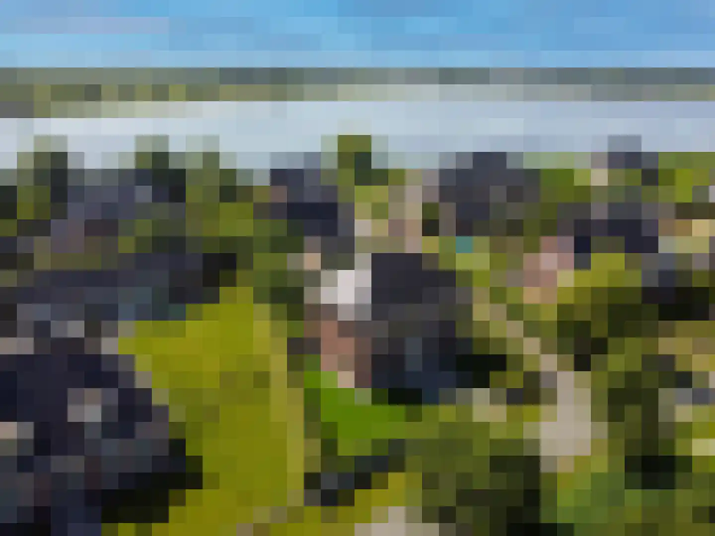 Cantharel 26 Blauwestad thumbnail 9