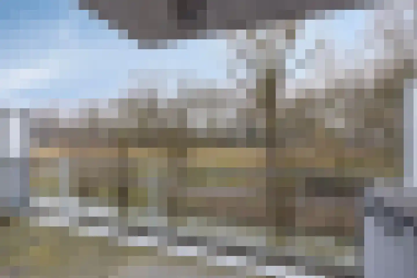 Cantharel 30 Alphen aan den Rijn thumbnail 14