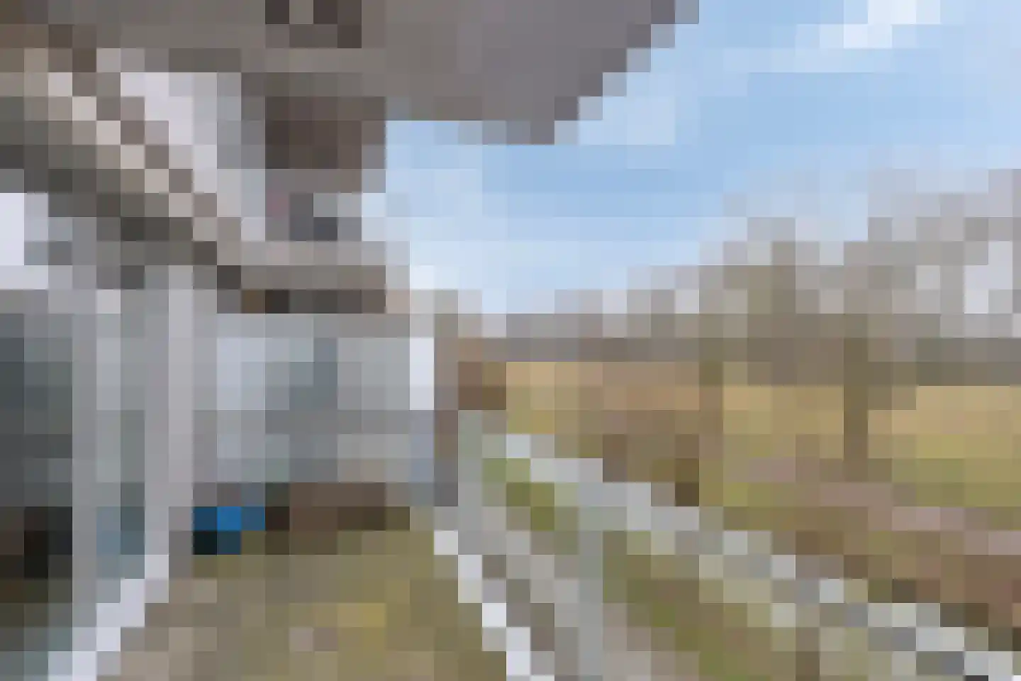 Cantharel 30 Alphen aan den Rijn thumbnail 15
