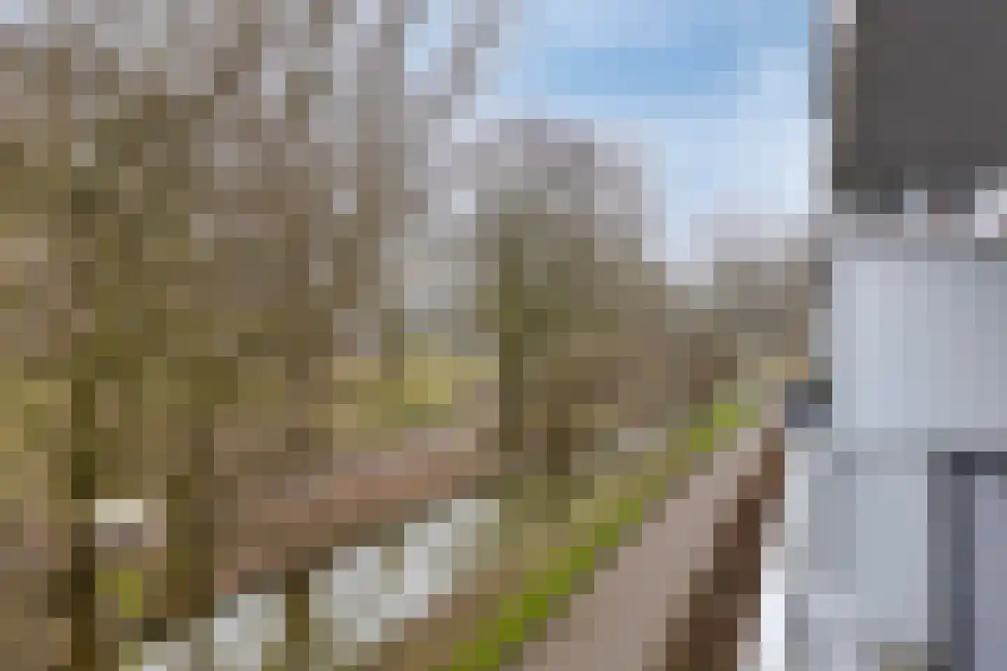 Cantharel 30 Alphen aan den Rijn thumbnail 16