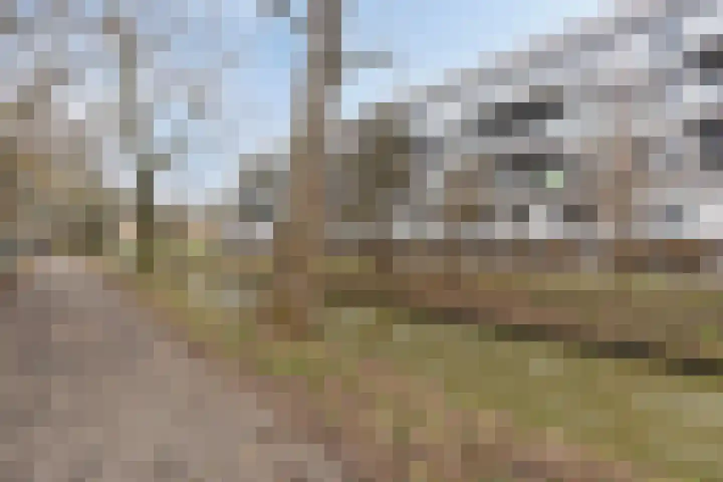 Cantharel 30 Alphen aan den Rijn thumbnail 17