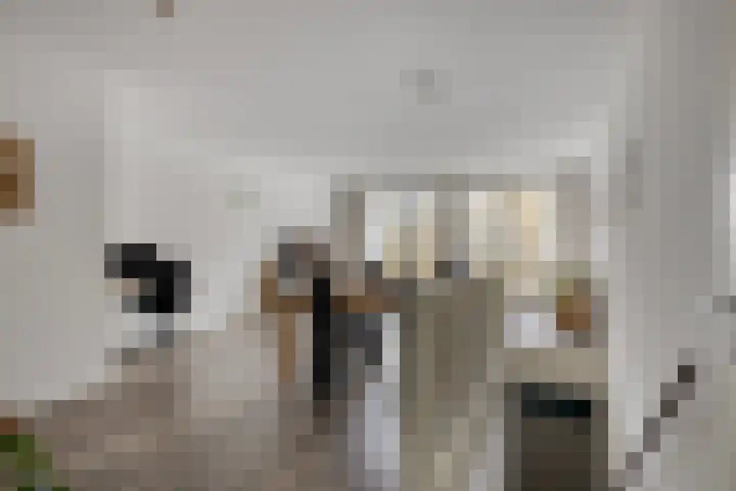 Cantharel 30 Alphen aan den Rijn thumbnail 19