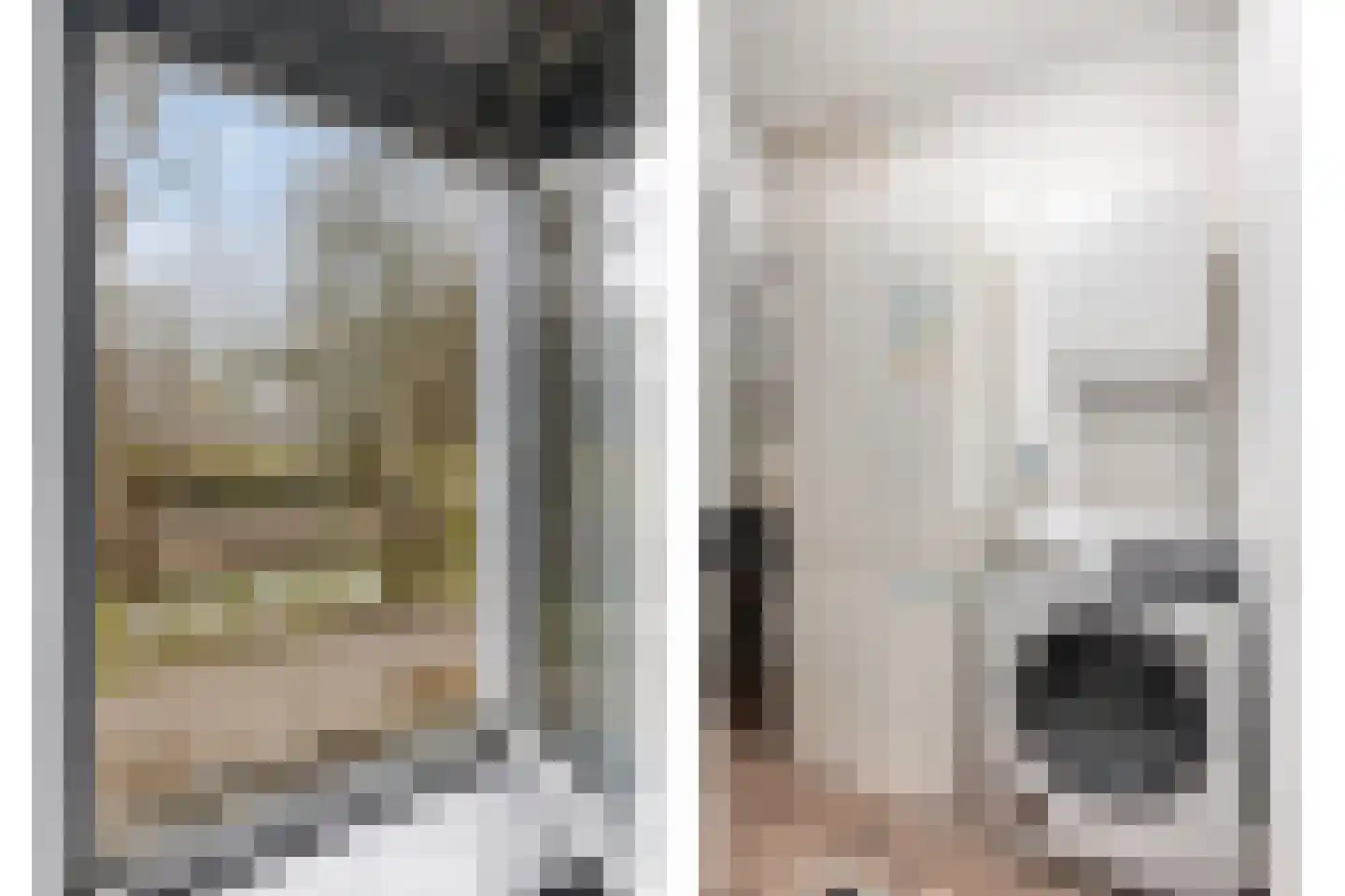 Cantharel 30 Alphen aan den Rijn thumbnail 31