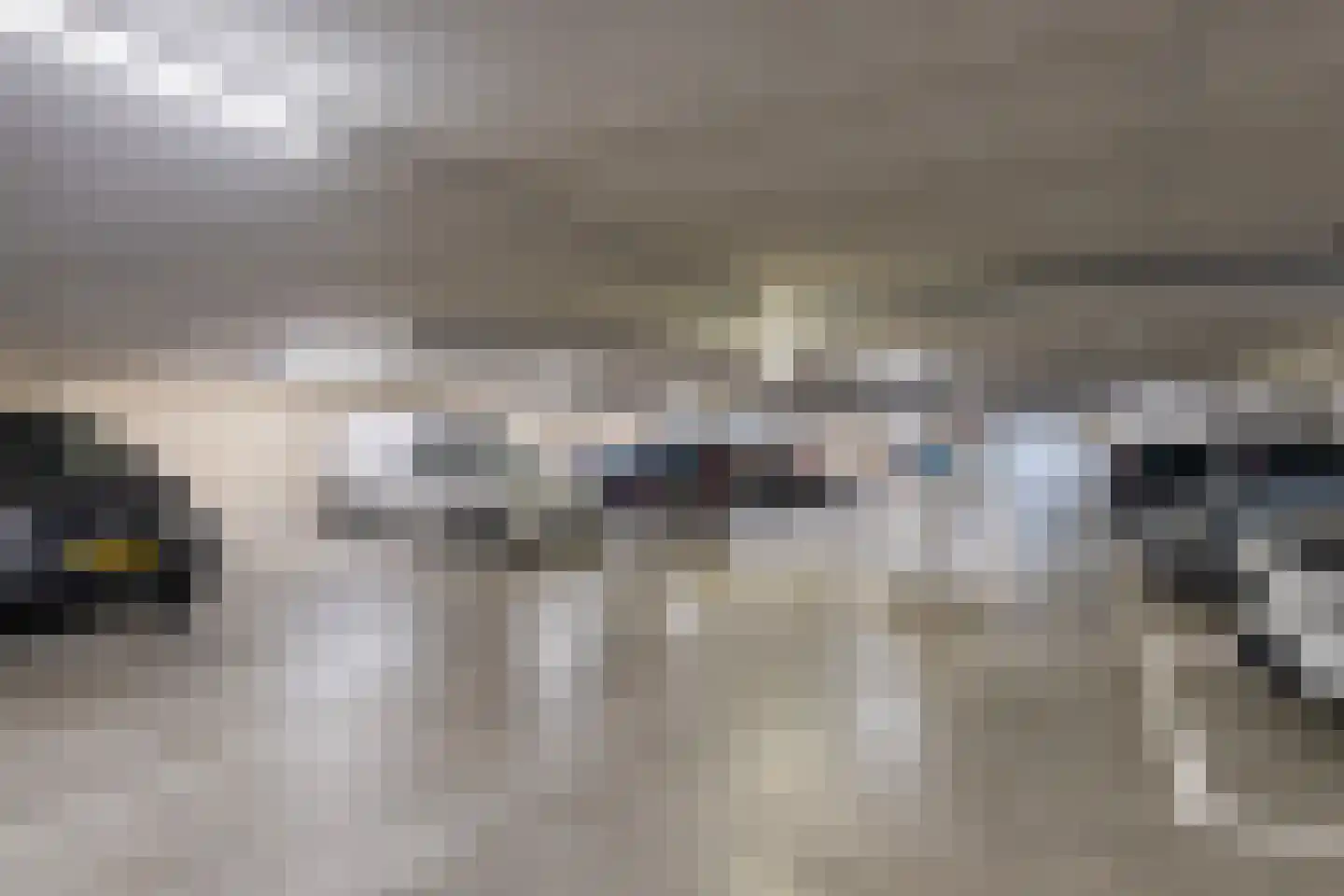 Cantharel 30 Alphen aan den Rijn thumbnail 34