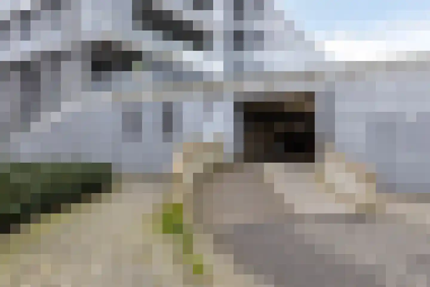 Cantharel 30 Alphen aan den Rijn thumbnail 35