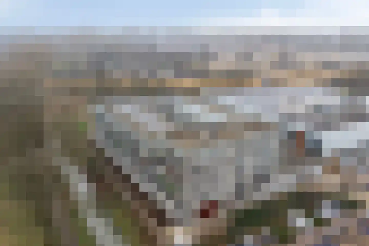 Cantharel 30 Alphen aan den Rijn thumbnail 4