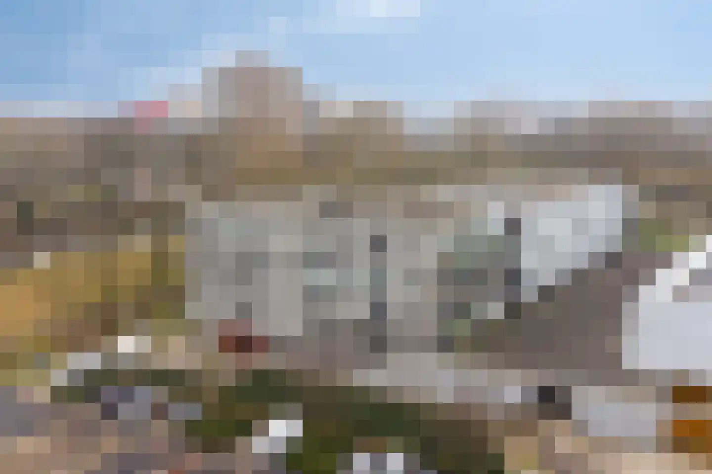 Cantharel 30 Alphen aan den Rijn thumbnail 5