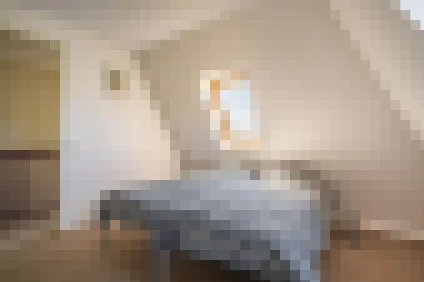 Cantharel 40 Blauwestad thumbnail 37