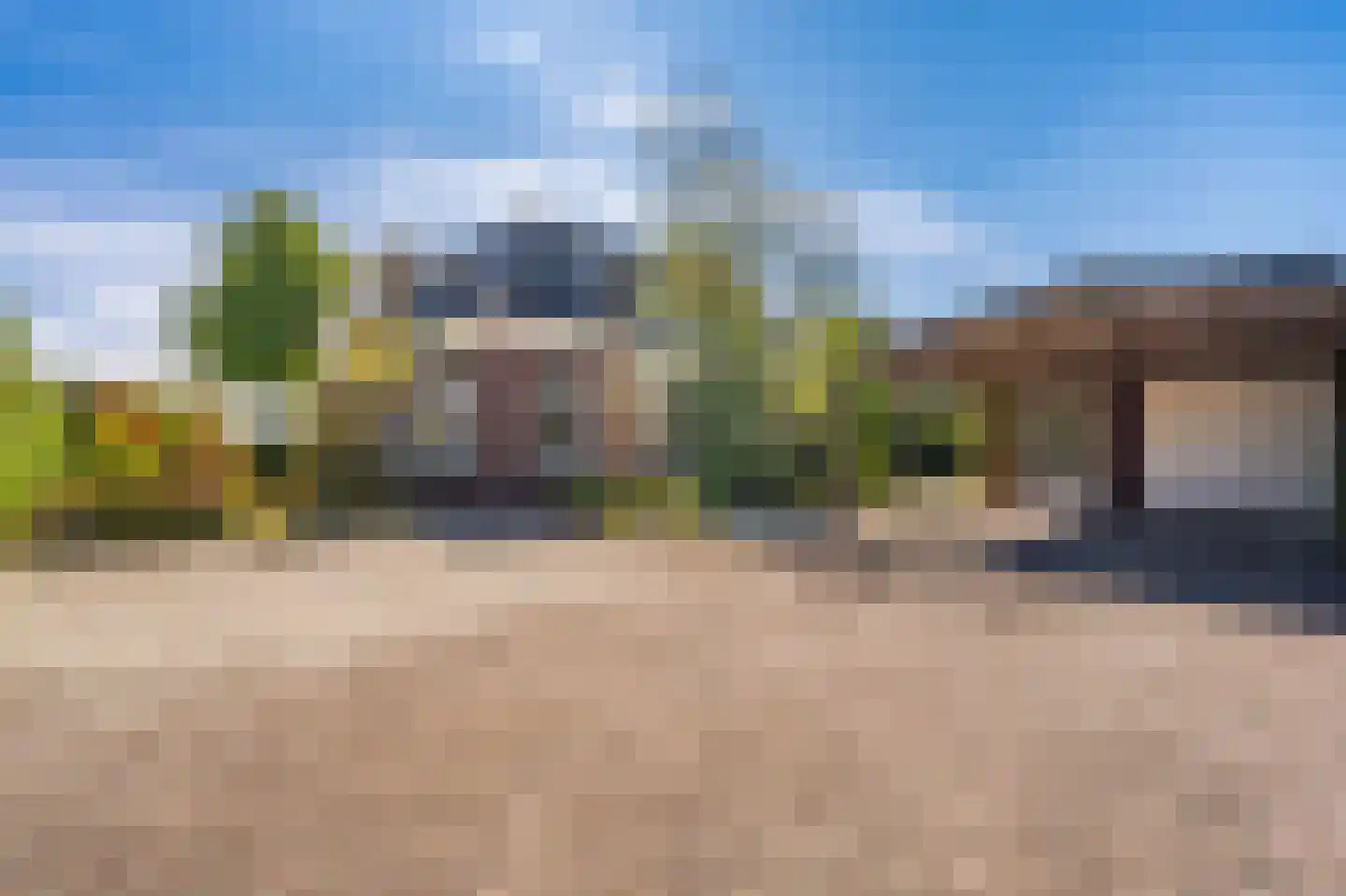 Cantharel 40 Blauwestad thumbnail 5
