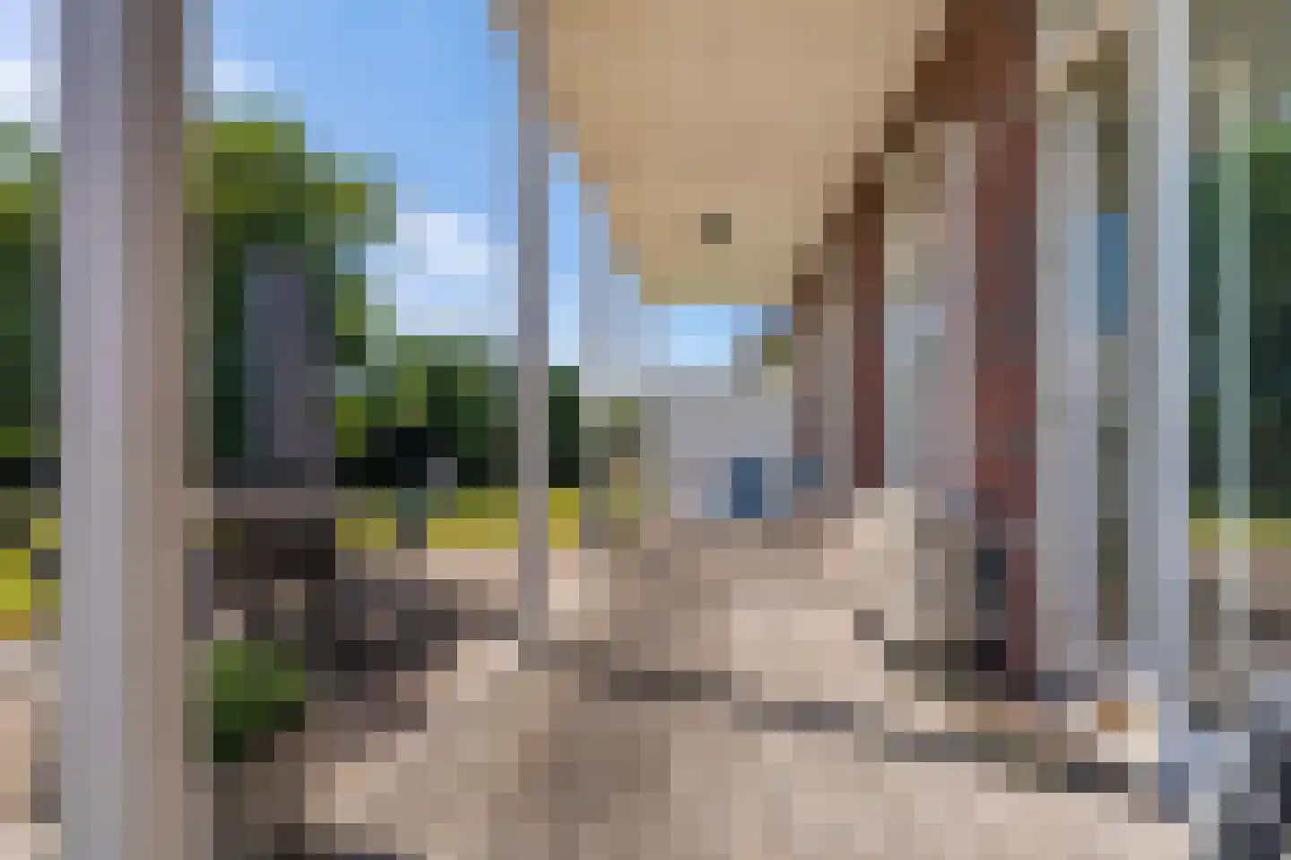 Cantharel 40 Blauwestad thumbnail 52