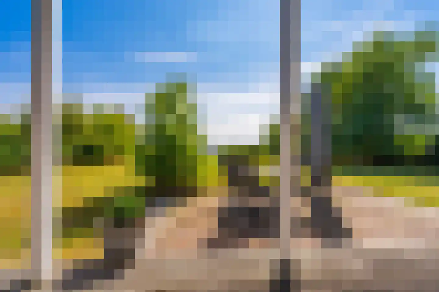 Cantharel 40 Blauwestad thumbnail 53