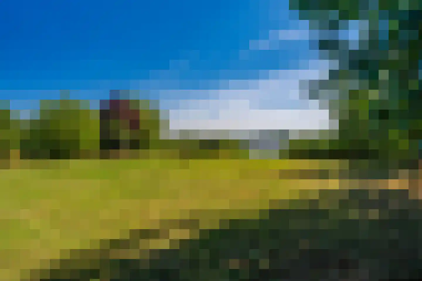 Cantharel 40 Blauwestad thumbnail 54