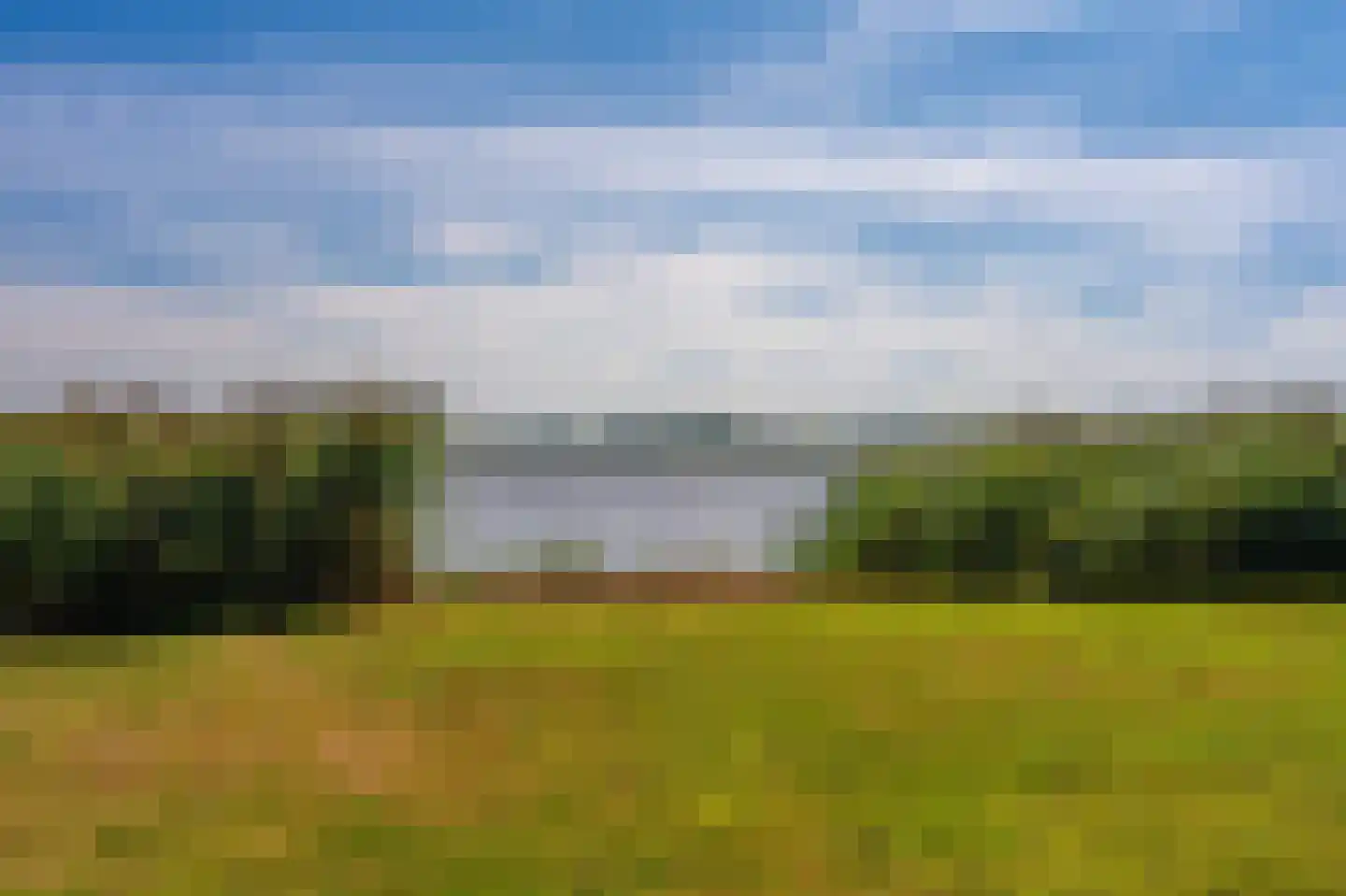 Cantharel 40 Blauwestad thumbnail 55