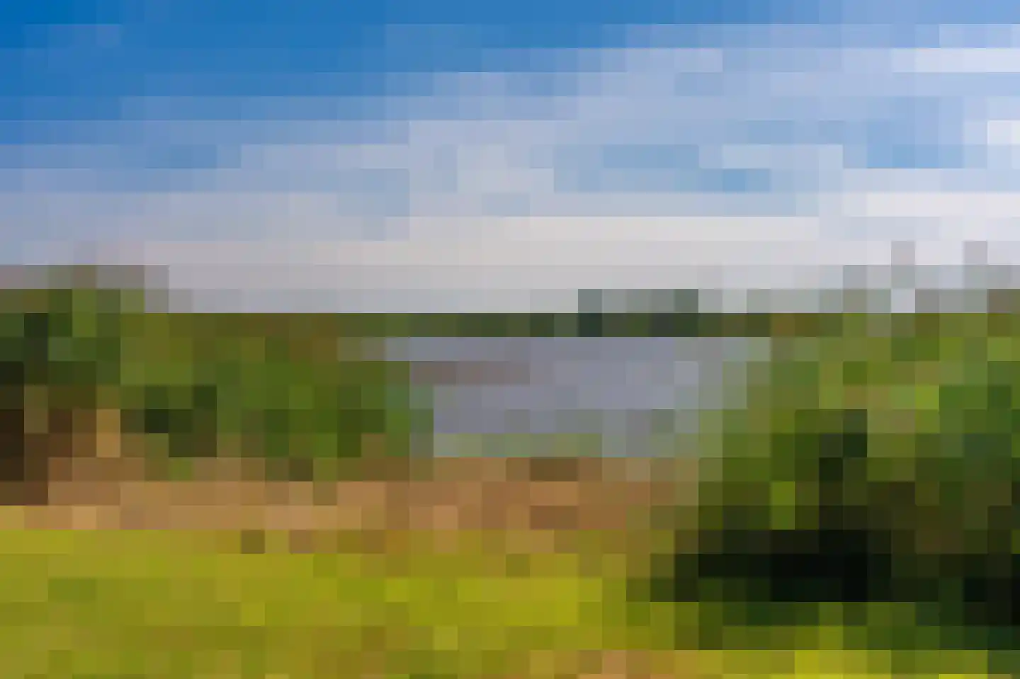 Cantharel 40 Blauwestad thumbnail 56