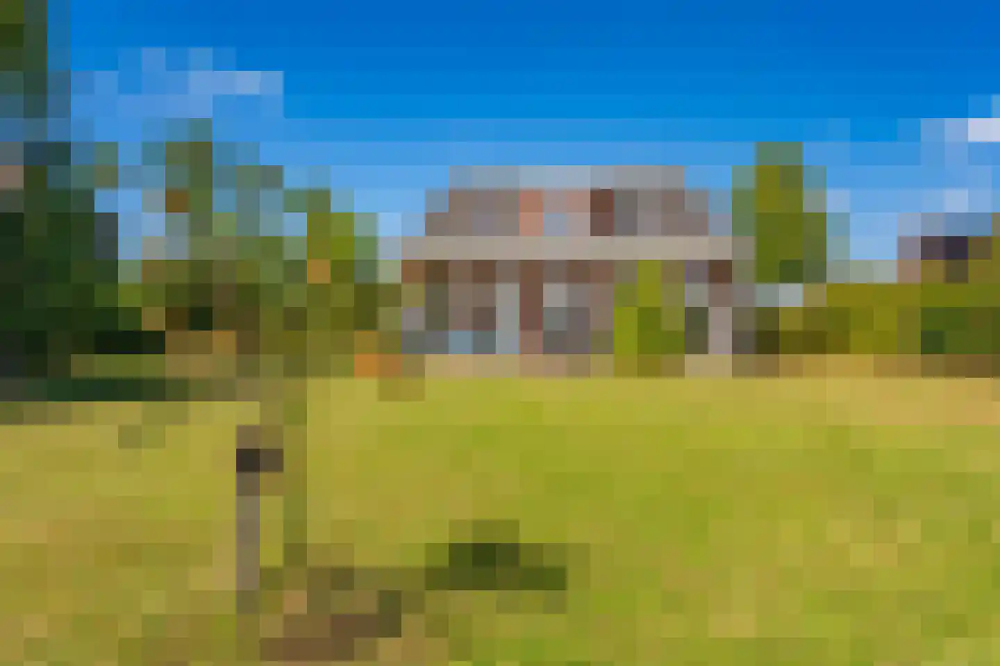 Cantharel 40 Blauwestad thumbnail 57