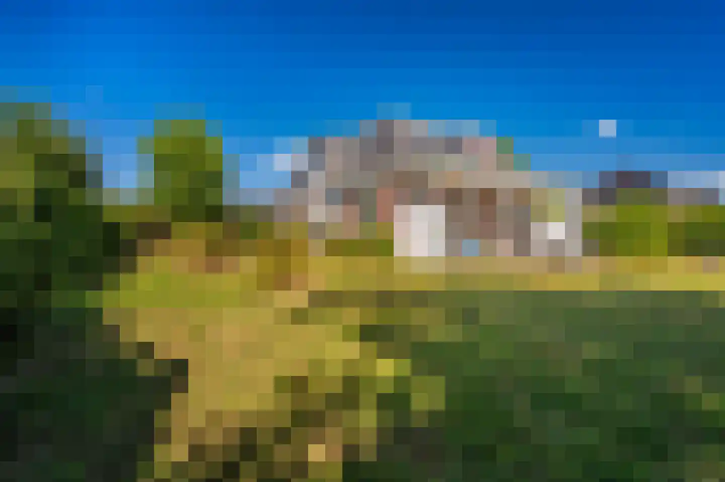 Cantharel 40 Blauwestad thumbnail 58