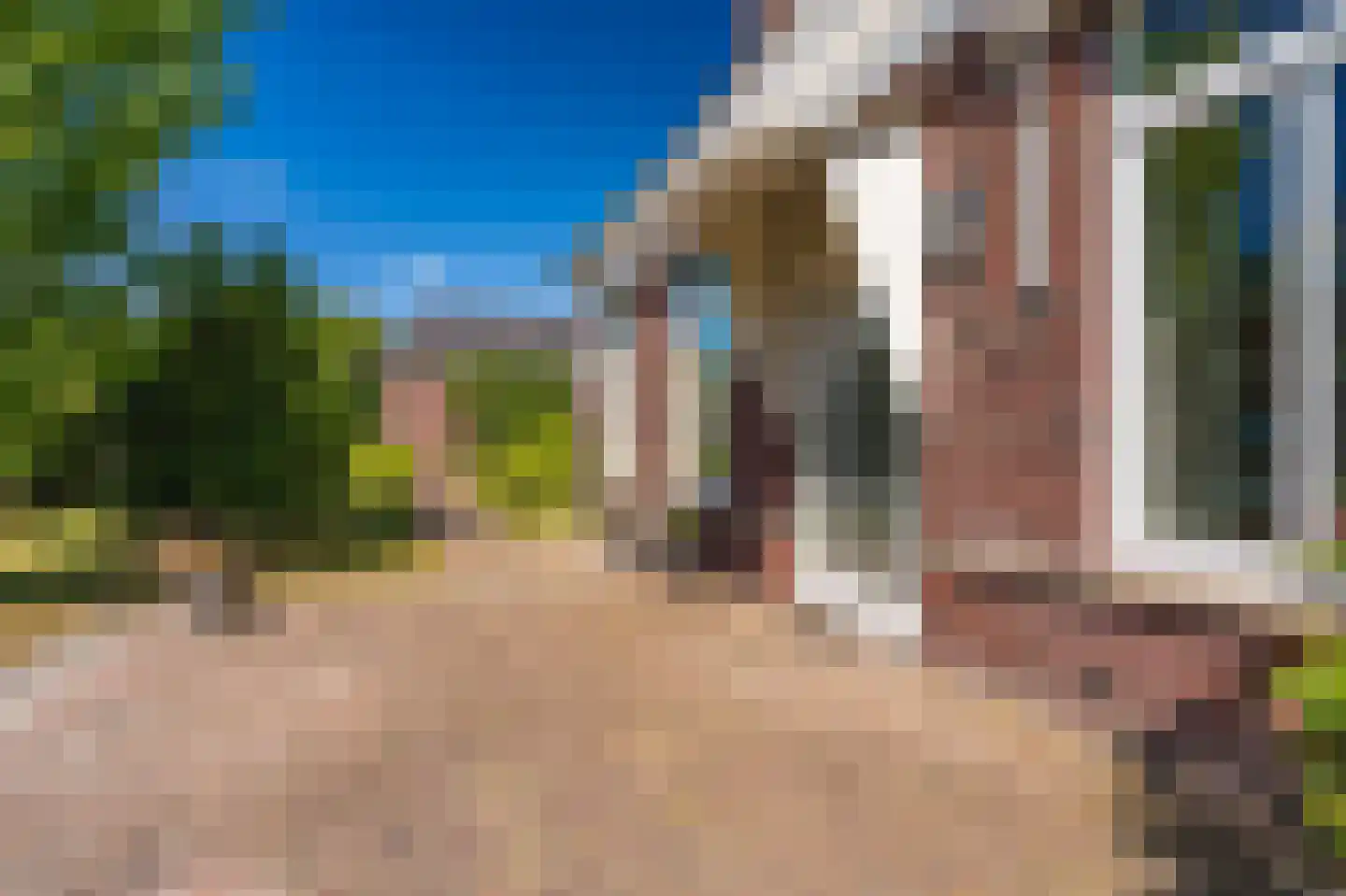 Cantharel 40 Blauwestad thumbnail 59