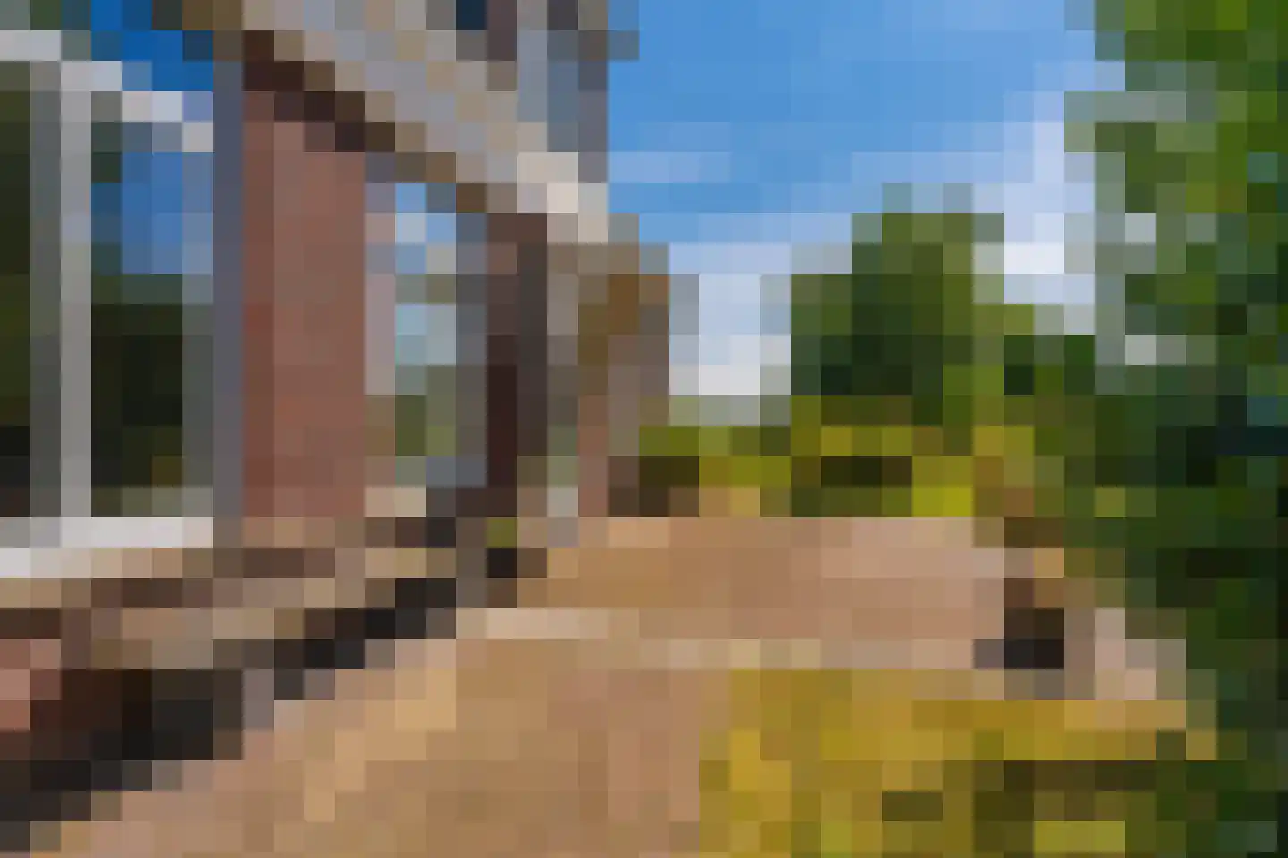 Cantharel 40 Blauwestad thumbnail 60