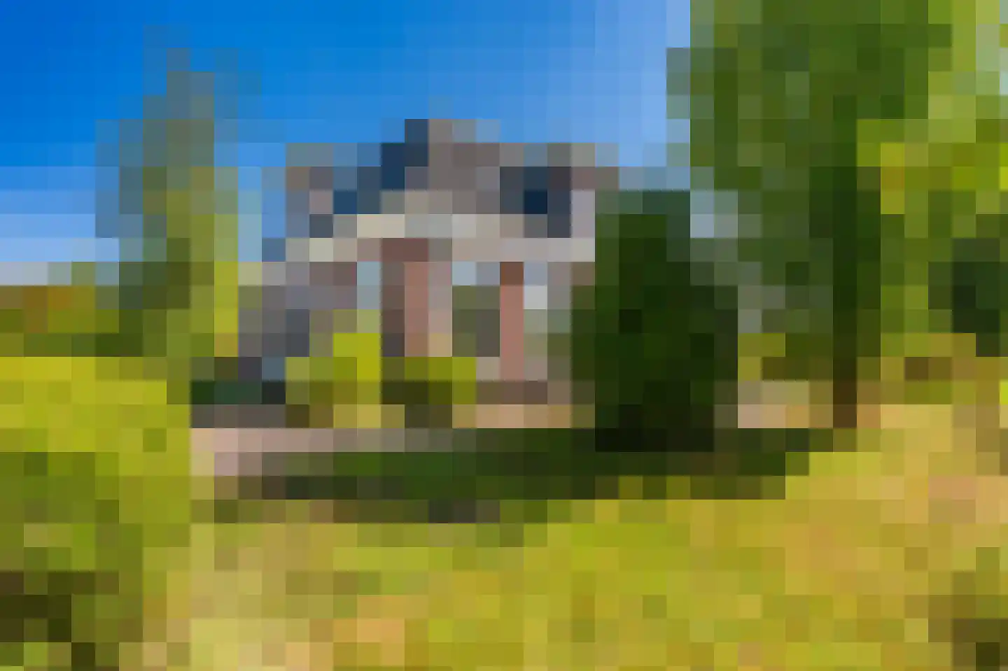 Cantharel 40 Blauwestad thumbnail 61