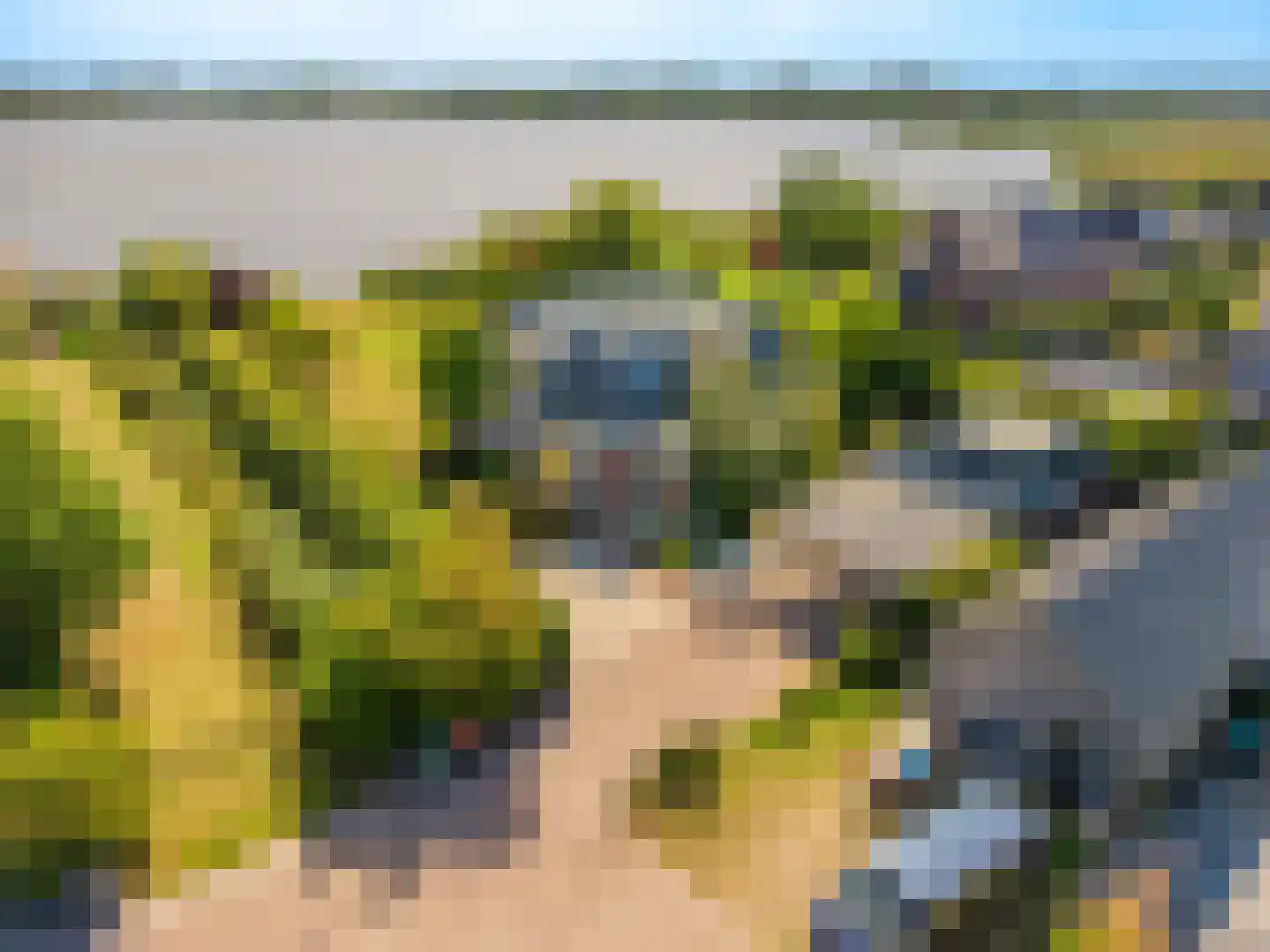 Cantharel 40 Blauwestad thumbnail 66
