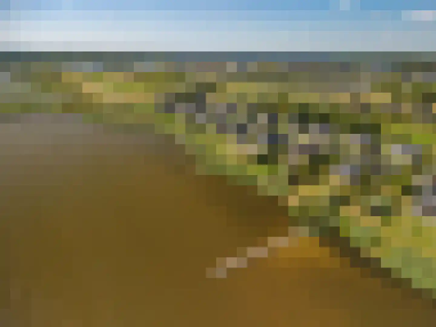 Cantharel 40 Blauwestad thumbnail 71