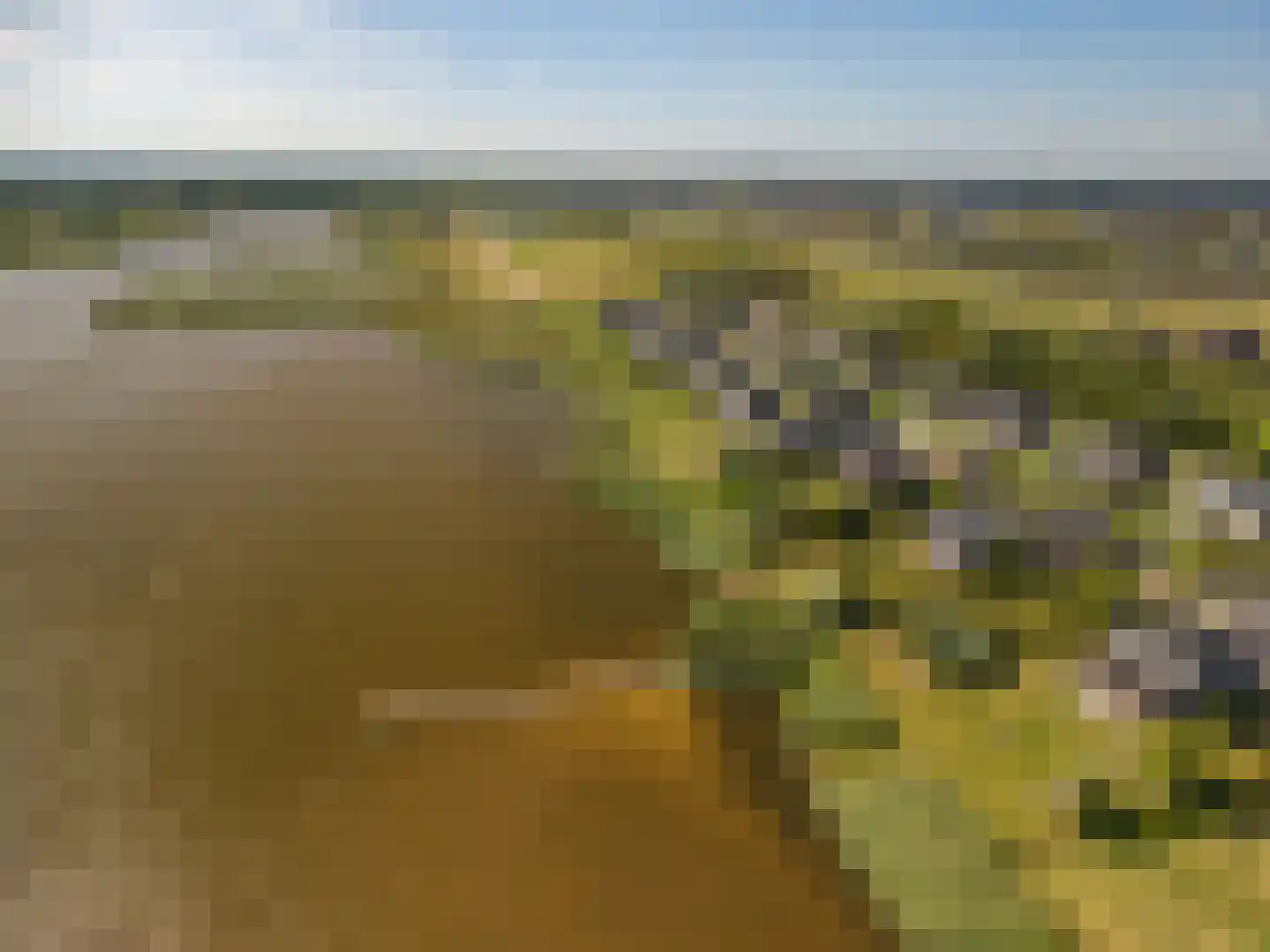 Cantharel 40 Blauwestad thumbnail 72