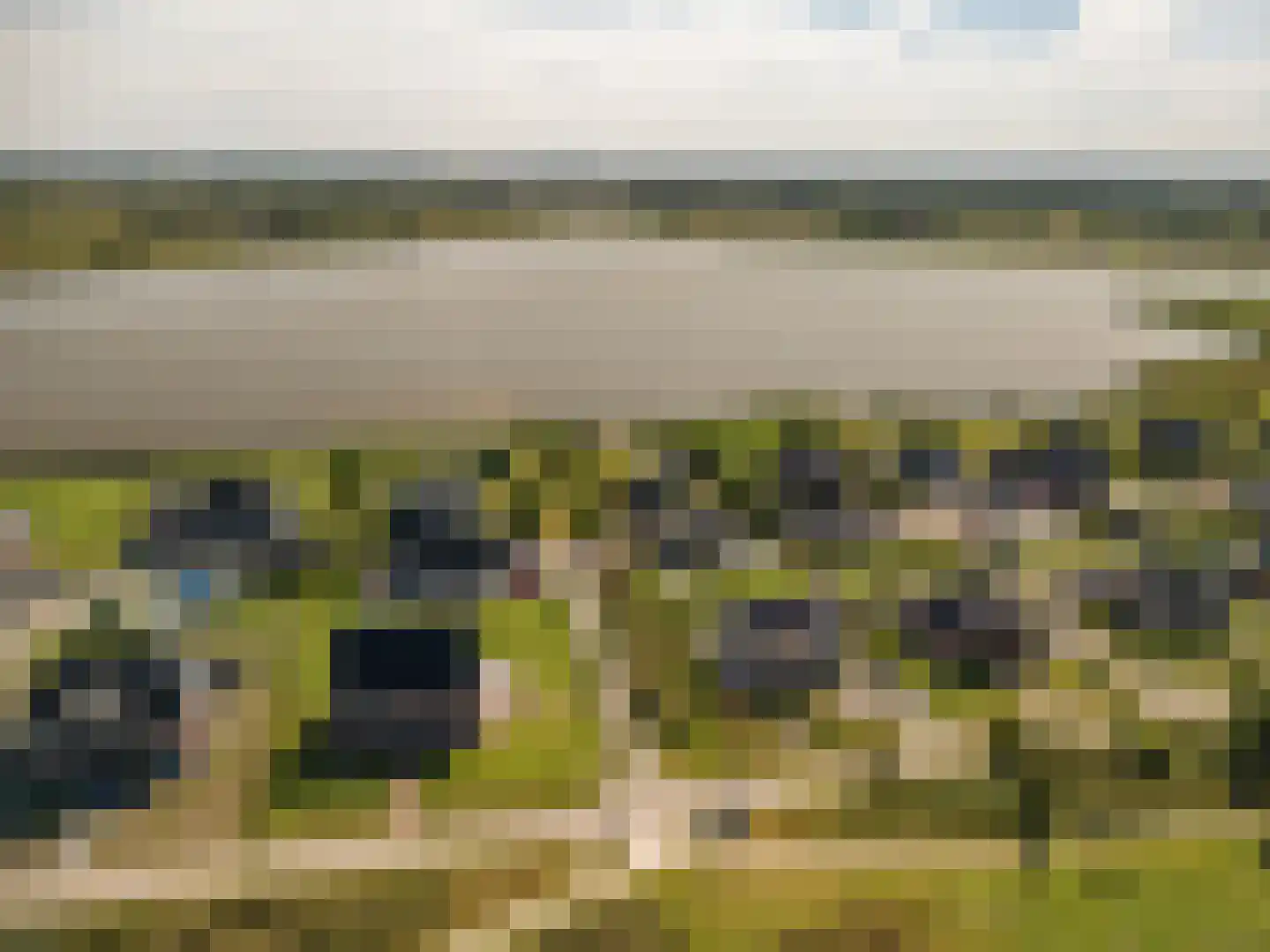 Cantharel 40 Blauwestad thumbnail 73