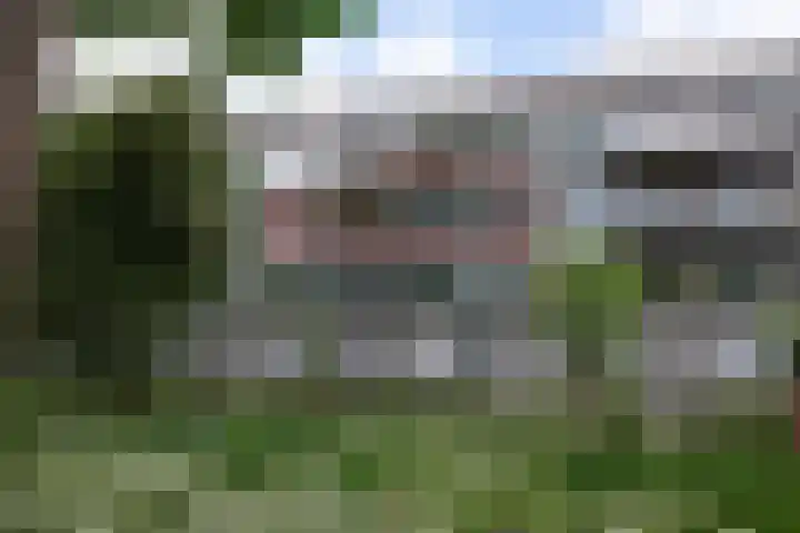 Cantharel 52 in Alphen aan den Rijn