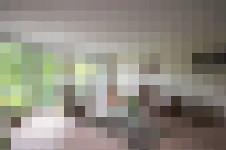 Cantharel 52 Alphen aan den Rijn thumbnail 10