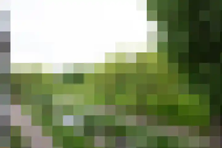 Cantharel 52 Alphen aan den Rijn thumbnail 13