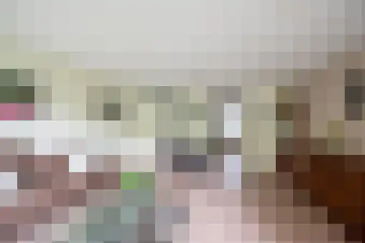 Cantharel 52 Alphen aan den Rijn thumbnail 15